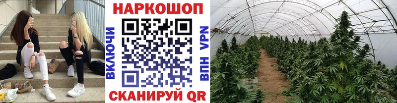 Где можно купить наркотики Новомосковск Марихуана  Cocaine  ГАШ  Галлюциногенные грибы  Мефедрон 