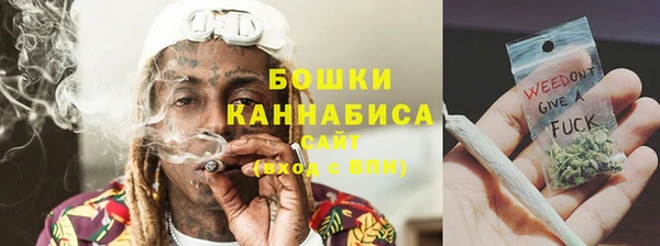 крисы Баксан