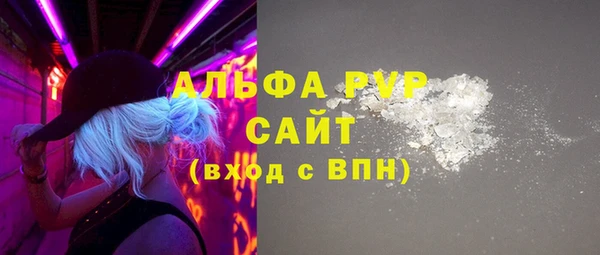крисы Баксан
