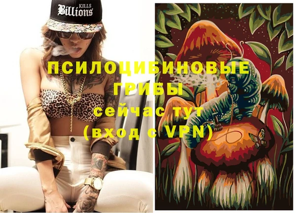 мдпв Тайга