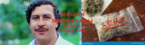 крисы Баксан