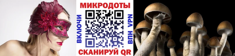 купить закладку  Новомосковск  Псилоцибиновые грибы Psilocybe 